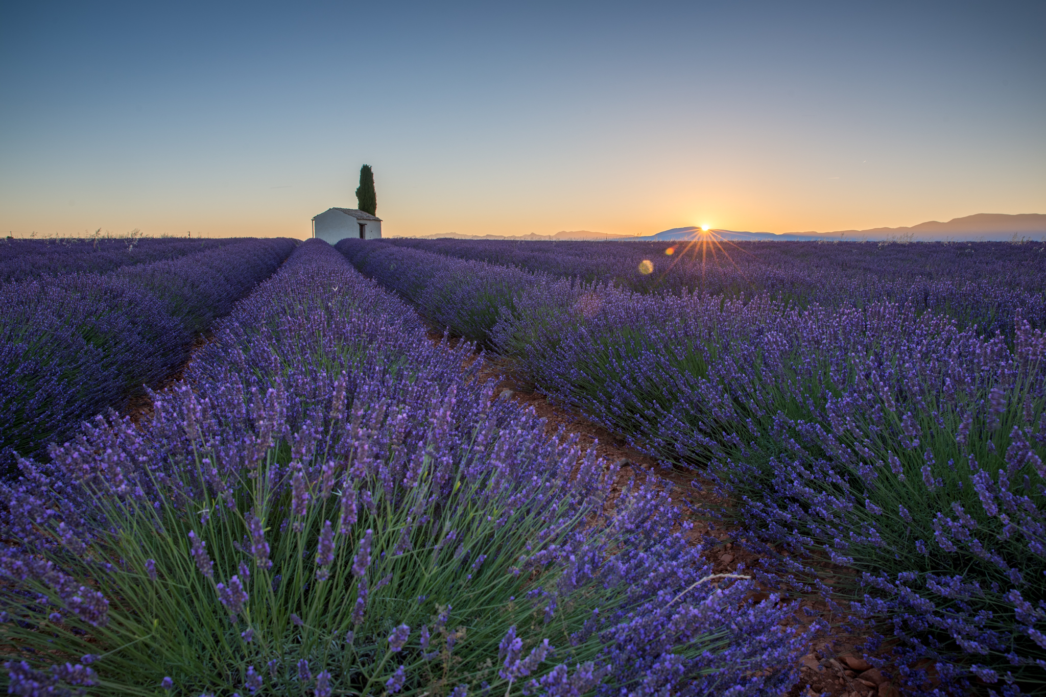 Valensole