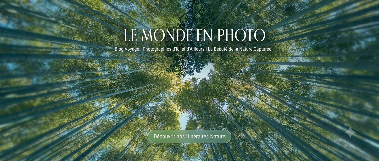 Le monde en photo